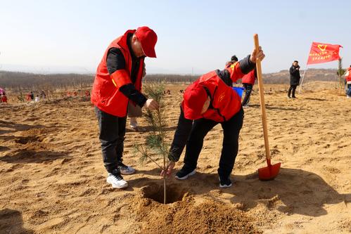 2栽下一棵小树苗