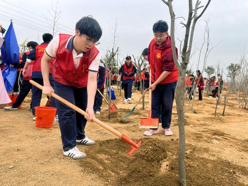 4为刚栽下的小树苗埋土