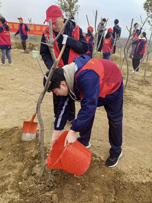 5为树苗浇水