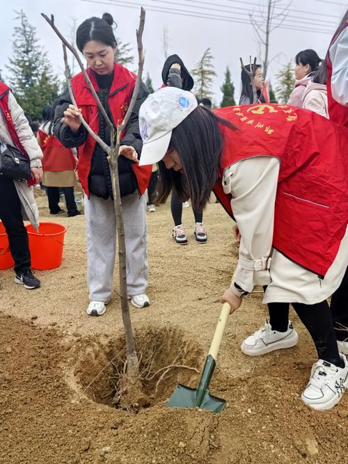 4填土